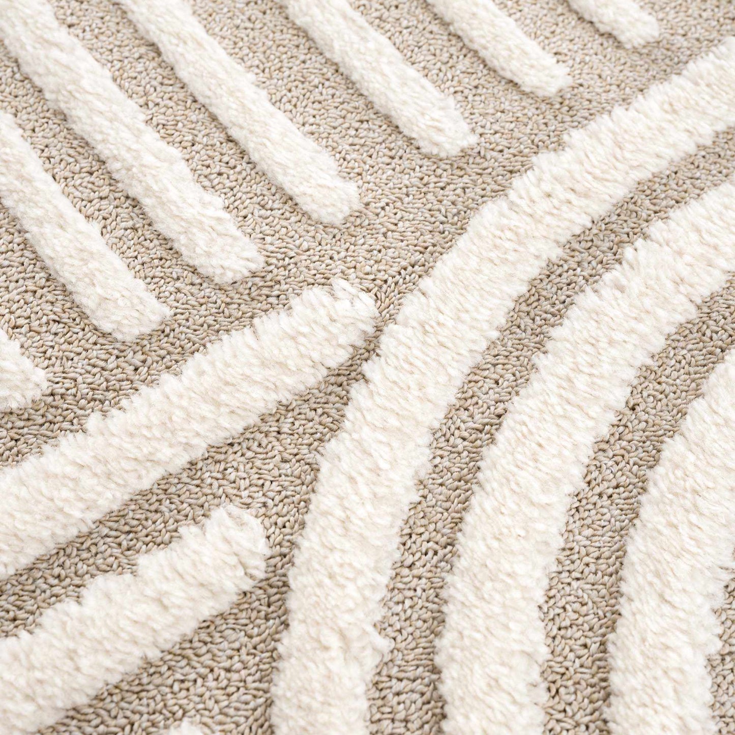 Moise Area Rug